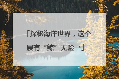 探秘海洋世界，这个展有“鲸”无险→