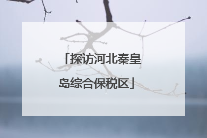 探访河北秦皇岛综合保税区