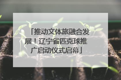 推动文体旅融合发展！辽宁省匹克球推广启动仪式启幕