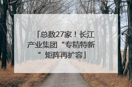 总数27家！长江产业集团“专精特新”矩阵再扩容