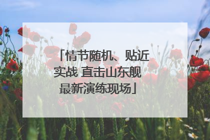 情节随机、贴近实战 直击山东舰最新演练现场