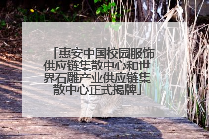 惠安中国校园服饰供应链集散中心和世界石雕产业供应链集散中心正式揭牌