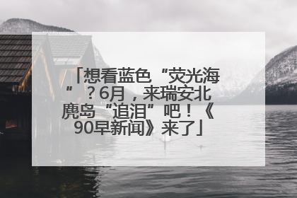 想看蓝色“荧光海”？6月，来瑞安北麂岛“追泪”吧！《90早新闻》来了