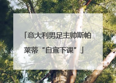 意大利男足主帅斯帕莱蒂“自宣下课”