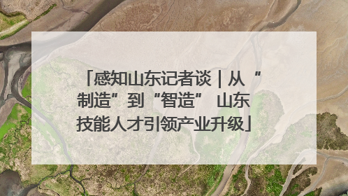 感知山东记者谈｜从“制造”到“智造” 山东技能人才引领产业升级