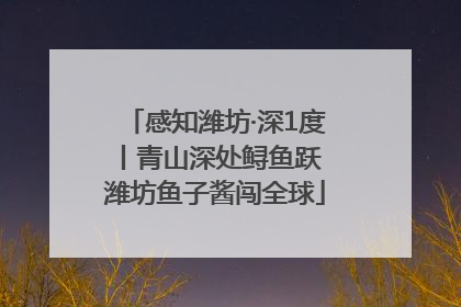 感知潍坊·深1度丨青山深处鲟鱼跃 潍坊鱼子酱闯全球