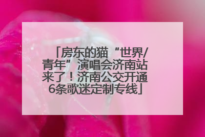 房东的猫“世界/青年”演唱会济南站来了！济南公交开通6条歌迷定制专线