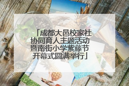 成都大邑校家社协同育人主题活动暨南街小学紫藤节开幕式圆满举行