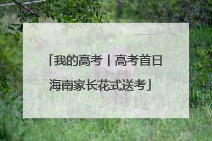我的高考丨高考首日 海南家长花式送考