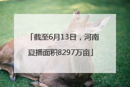 截至6月13日，河南夏播面积8297万亩