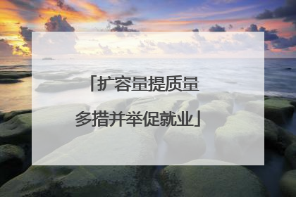扩容量提质量 多措并举促就业