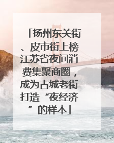 扬州东关街、皮市街上榜江苏省夜间消费集聚商圈，成为古城老街打造“夜经济”的样本