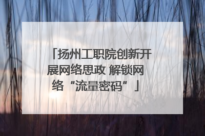 扬州工职院创新开展网络思政 解锁网络“流量密码”