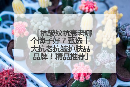 抗皱纹抗衰老哪个牌子好？甄选十大抗老抗皱护肤品品牌！精品推荐