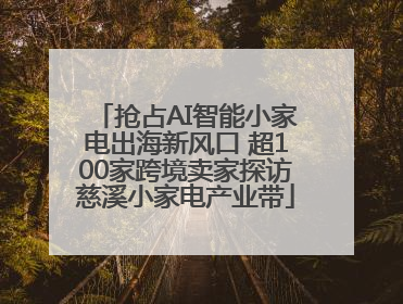 抢占AI智能小家电出海新风口 超100家跨境卖家探访慈溪小家电产业带