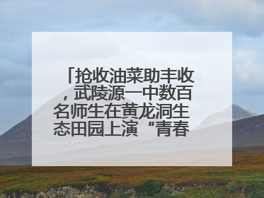 抢收油菜助丰收，武陵源一中数百名师生在黄龙洞生态田园上演“青春助农记”