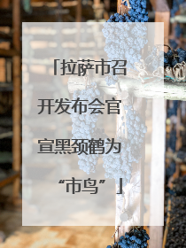 拉萨市召开发布会官宣黑颈鹤为“市鸟”