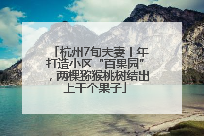 杭州7旬夫妻十年打造小区“百果园”，两棵猕猴桃树结出上千个果子