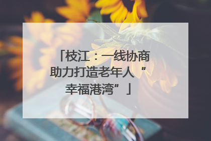 枝江：一线协商助力打造老年人“幸福港湾”