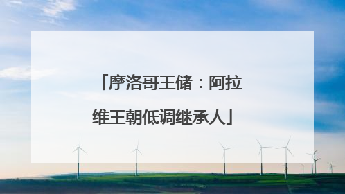 摩洛哥王储：阿拉维王朝低调继承人