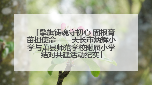 擎旗铸魂守初心 固根育苗担使命——天长市炳辉小学与萧县师范学校附属小学结对共建活动纪实