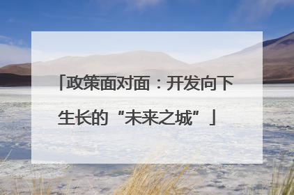 政策面对面：开发向下生长的“未来之城”