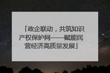 政企联动，共筑知识产权保护网——赋能民营经济高质量发展
