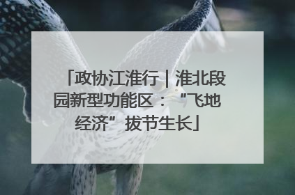 政协江淮行｜淮北段园新型功能区：“飞地经济”拔节生长