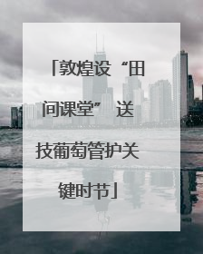 敦煌设“田间课堂” 送技葡萄管护关键时节