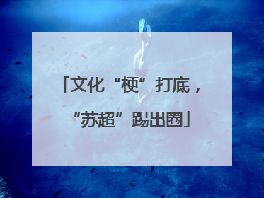 文化“梗”打底，“苏超”踢出圈