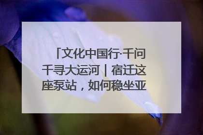 文化中国行·千问千寻大运河｜宿迁这座泵站，如何稳坐亚洲第一宝座？