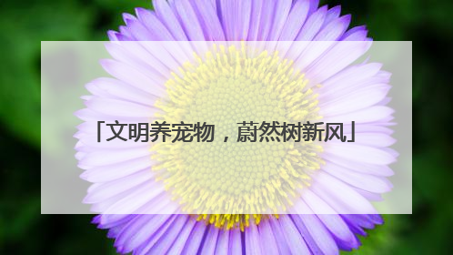 文明养宠物，蔚然树新风