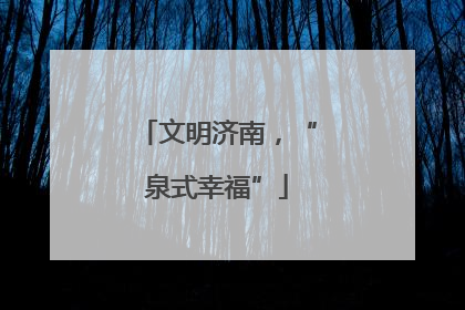文明济南，“泉式幸福”