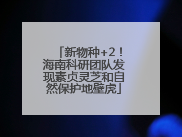 新物种+2！海南科研团队发现素贞灵芝和自然保护地壁虎