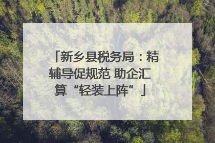 新乡县税务局：精辅导促规范 助企汇算“轻装上阵”