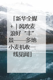 新华全媒+｜风吹麦浪好“丰”景——多地小麦机收一线见闻