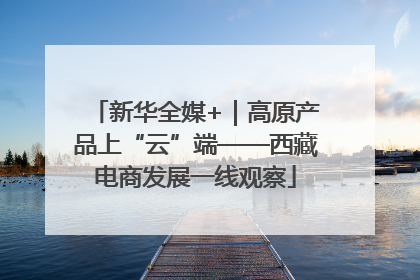 新华全媒+｜高原产品上“云”端——西藏电商发展一线观察