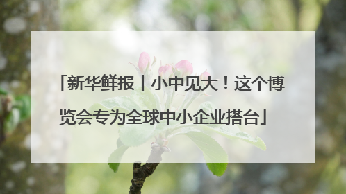 新华鲜报丨小中见大！这个博览会专为全球中小企业搭台