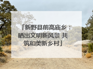 新野县前高庙乡：晒出文明新风景 共筑和美新乡村