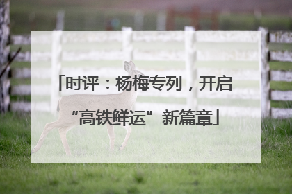 时评：杨梅专列，开启“高铁鲜运”新篇章