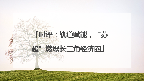 时评：轨道赋能，“苏超”燃爆长三角经济圈