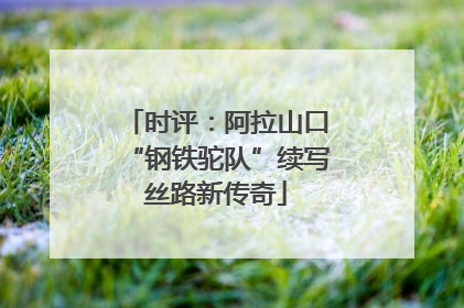 时评：阿拉山口“钢铁驼队”续写丝路新传奇