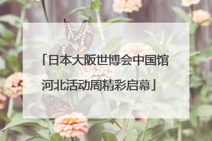 日本大阪世博会中国馆河北活动周精彩启幕