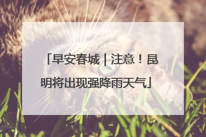早安春城｜注意！昆明将出现强降雨天气