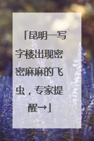 昆明一写字楼出现密密麻麻的飞虫，专家提醒→