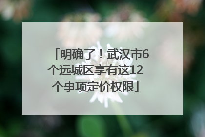 明确了！武汉市6个远城区享有这12个事项定价权限
