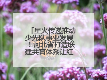 星火传递推动少先队事业发展！河北省打造联建共育体系让红领巾更鲜艳