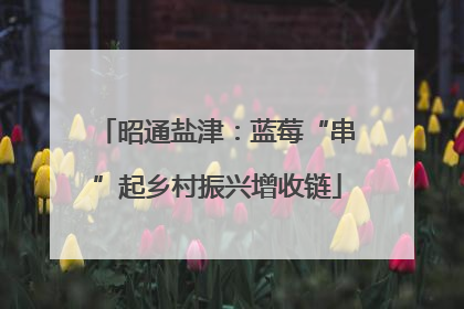 昭通盐津：蓝莓“串”起乡村振兴增收链