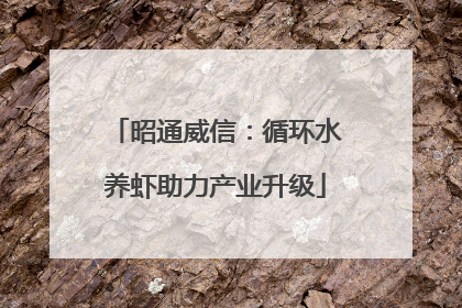 昭通威信：循环水养虾助力产业升级