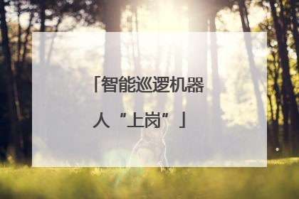 智能巡逻机器人“上岗”